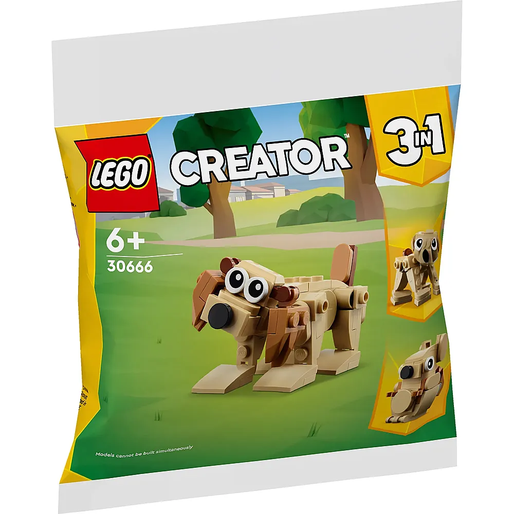 LEGO Creator Geschenkset mit Tieren 30666